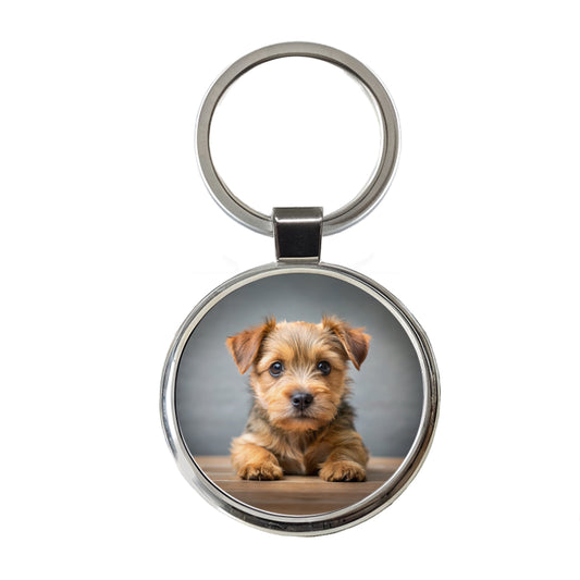 Norfolk Terrier Dog Puppy Photo Round Metal Keychain