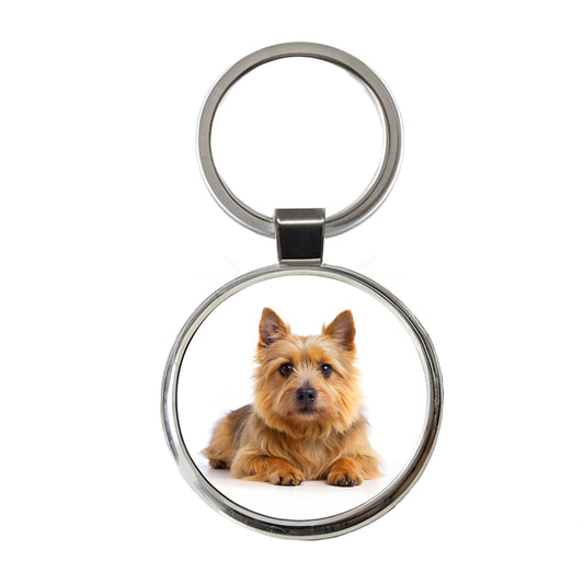 Norwich Terrier Dog Photo Round Metal Keychain