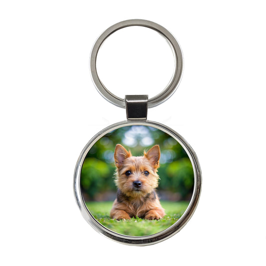 Norwich Terrier Dog Puppy Photo Round Metal Keychain