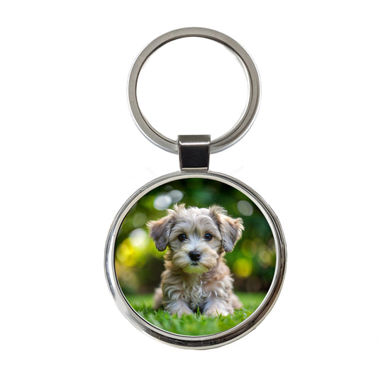 Schnoodle Dog Puppy Photo Round Metal Keychain