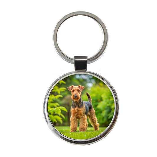 Welsh Terrier Dog Photo Round Metal Keychain