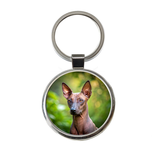 Xoloitzcuintli Xolo Mexican Hairless Dog Photo Round Metal Keychain