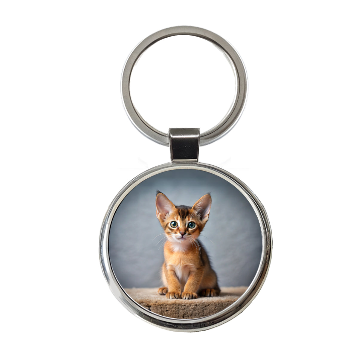 Abyssinian Cat Kitten Photo Round Metal Keychain