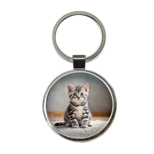 American Shorthair Cat Kitten Photo Round Metal Keychain