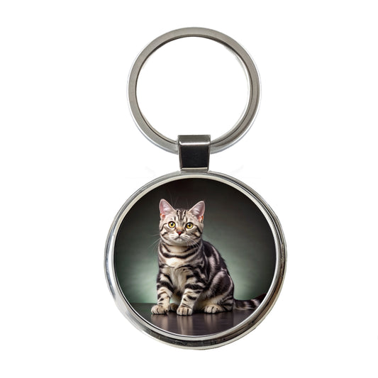 American Shorthair Cat Photo Round Metal Keychain