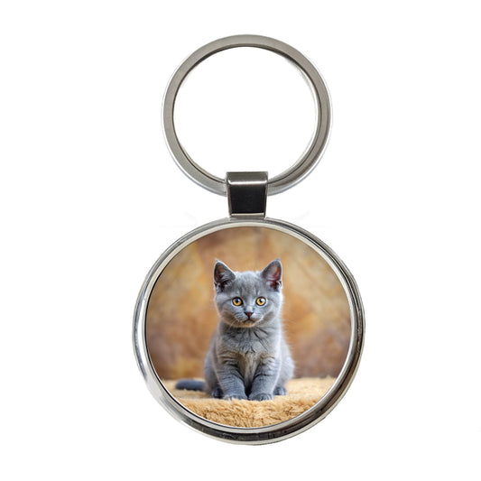Chartreux Cat Kitten Photo Round Metal Keychain