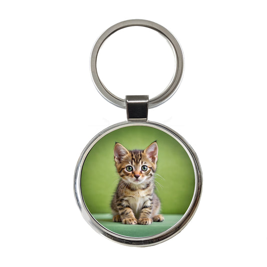 European Shorthair Cat Kitten Photo Round Metal Keychain