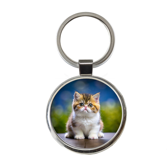 Exotic Shorthair Cat Kitten Photo Round Metal Keychain