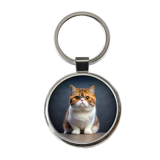Exotic Shorthair Cat Photo Round Metal Keychain