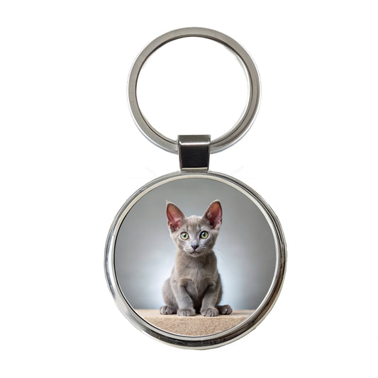 Korat Cat Kitten Photo Round Metal Keychain