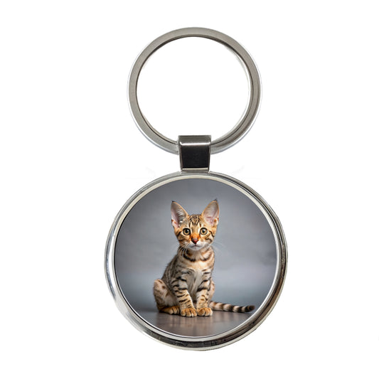 Ocicat Cat Kitten Photo Round Metal Keychain