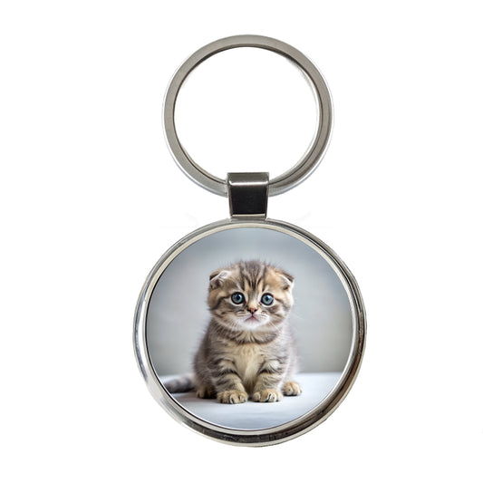 Scottish Fold Cat Kitten Photo Round Metal Keychain