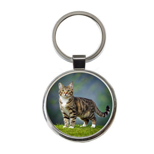 Cute Tabby Cat Photo Round Metal Keychain