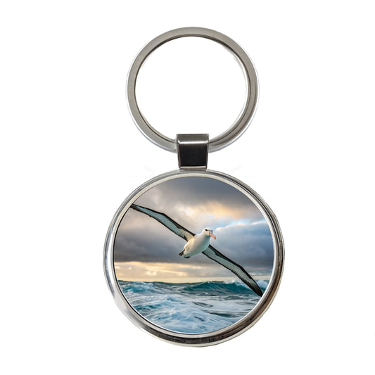 Albatross Bird Photo Round Metal Keychain