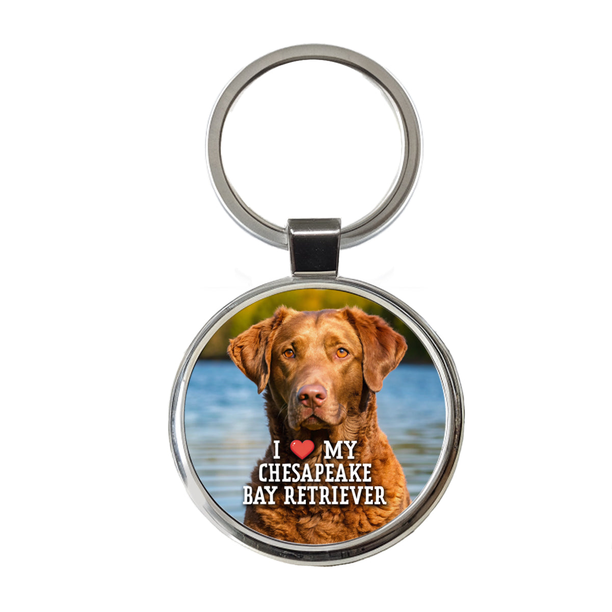 I Love My Chesapeake Bay Retriever Dog Heart Round Metal Keychain