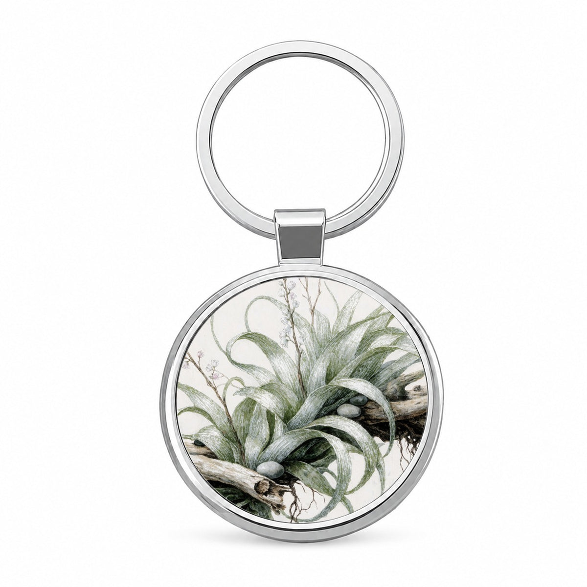 Air Plant Botanical Collection Round Metal Keychain