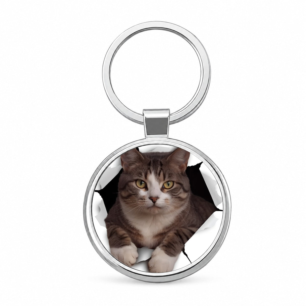 American Shorthaired Cat Breakout Round Metal Keychain