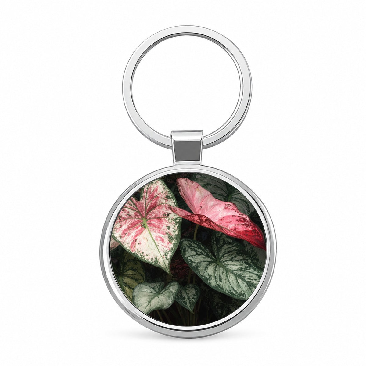 Colorful Caladium Leaves Round Metal Keychain