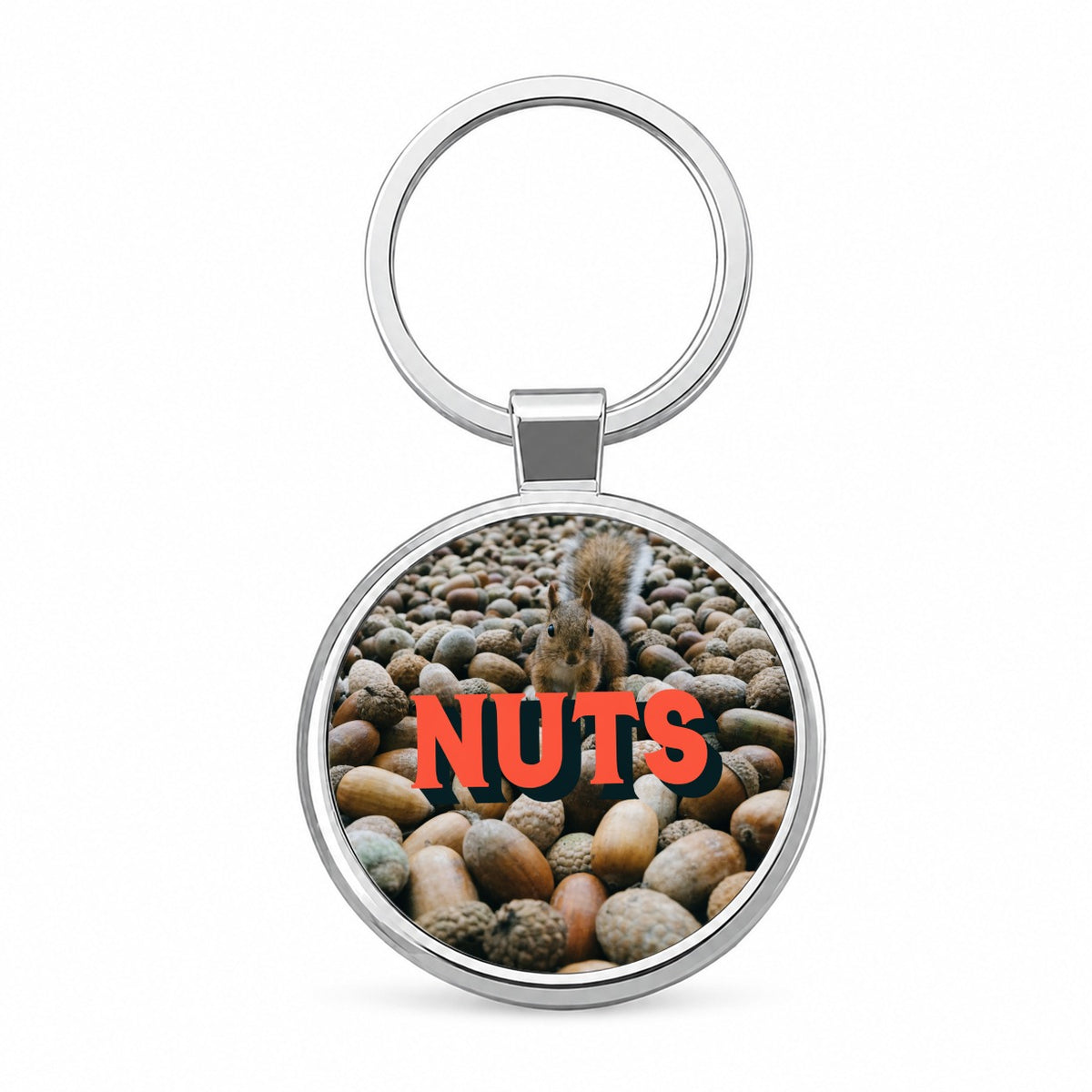 Nuts Funny Squirrel Photo Round Metal Keychain