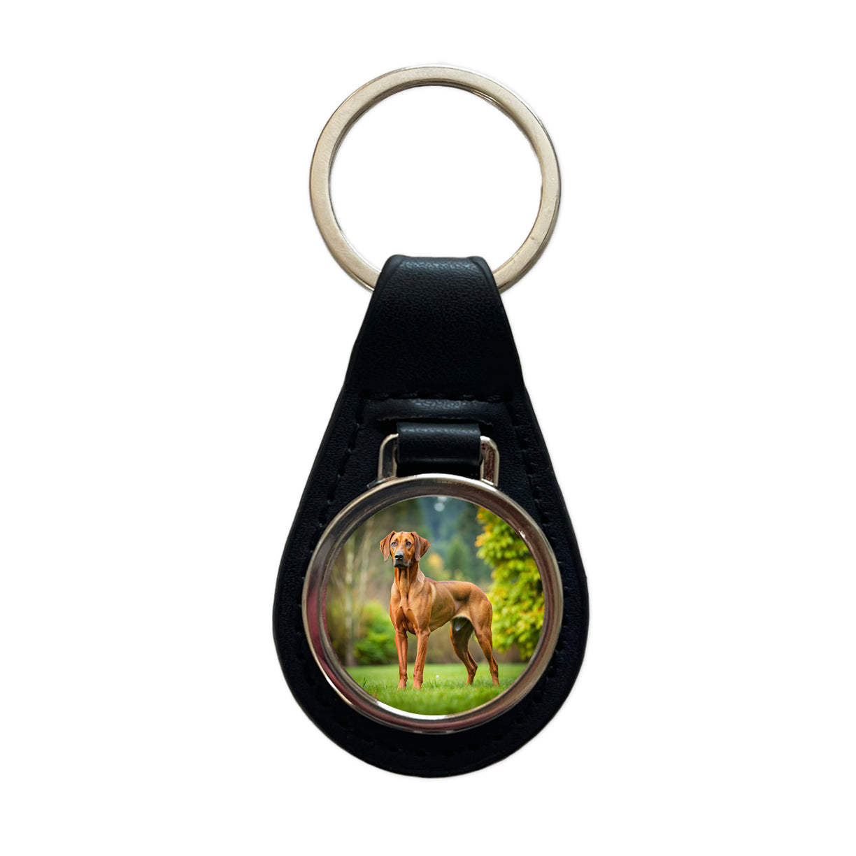 Rhodesian Ridgeback Dog Photo Black Leather Metal Keychain