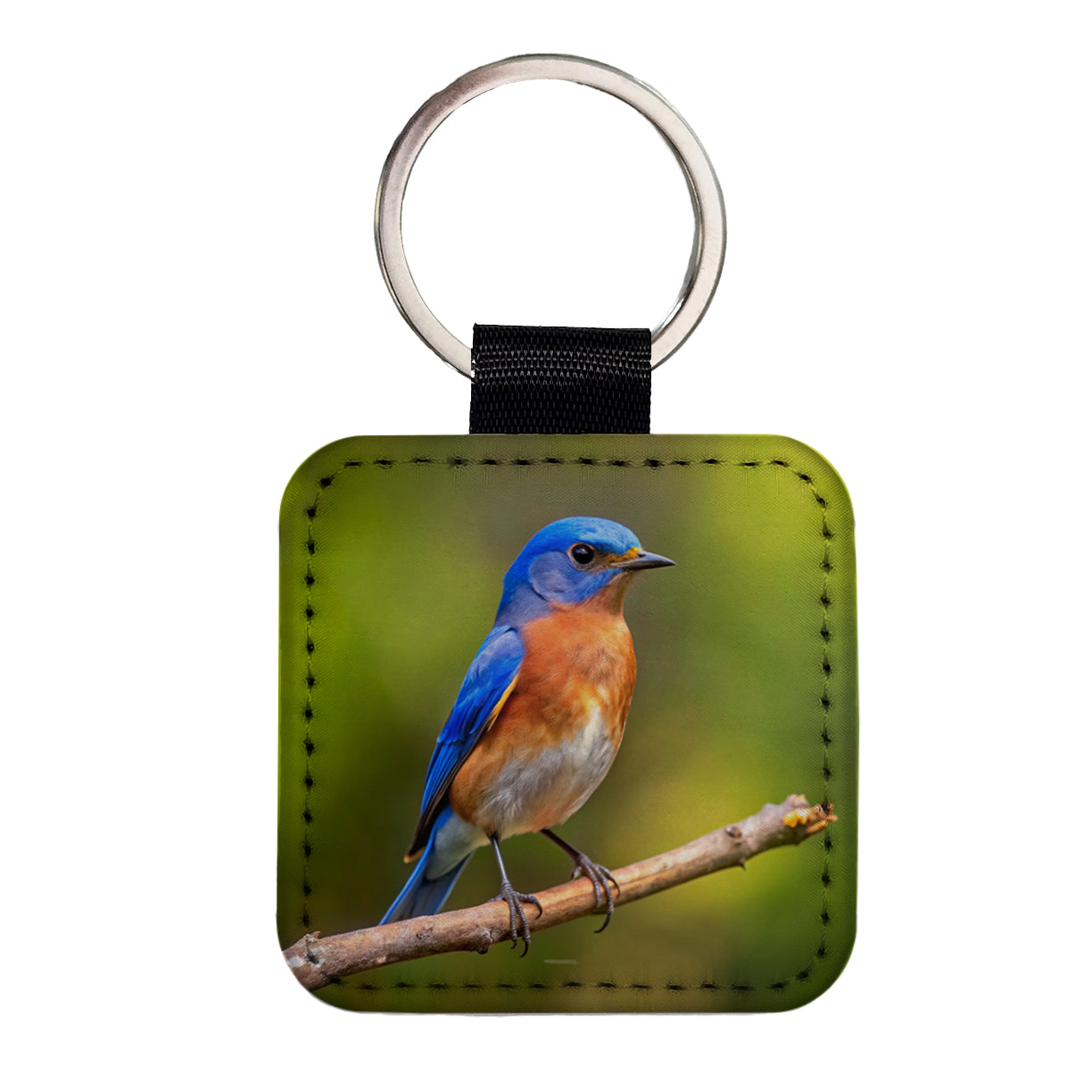 Eastern Bluebird Backyard Bird Square Faux Leather Keychain