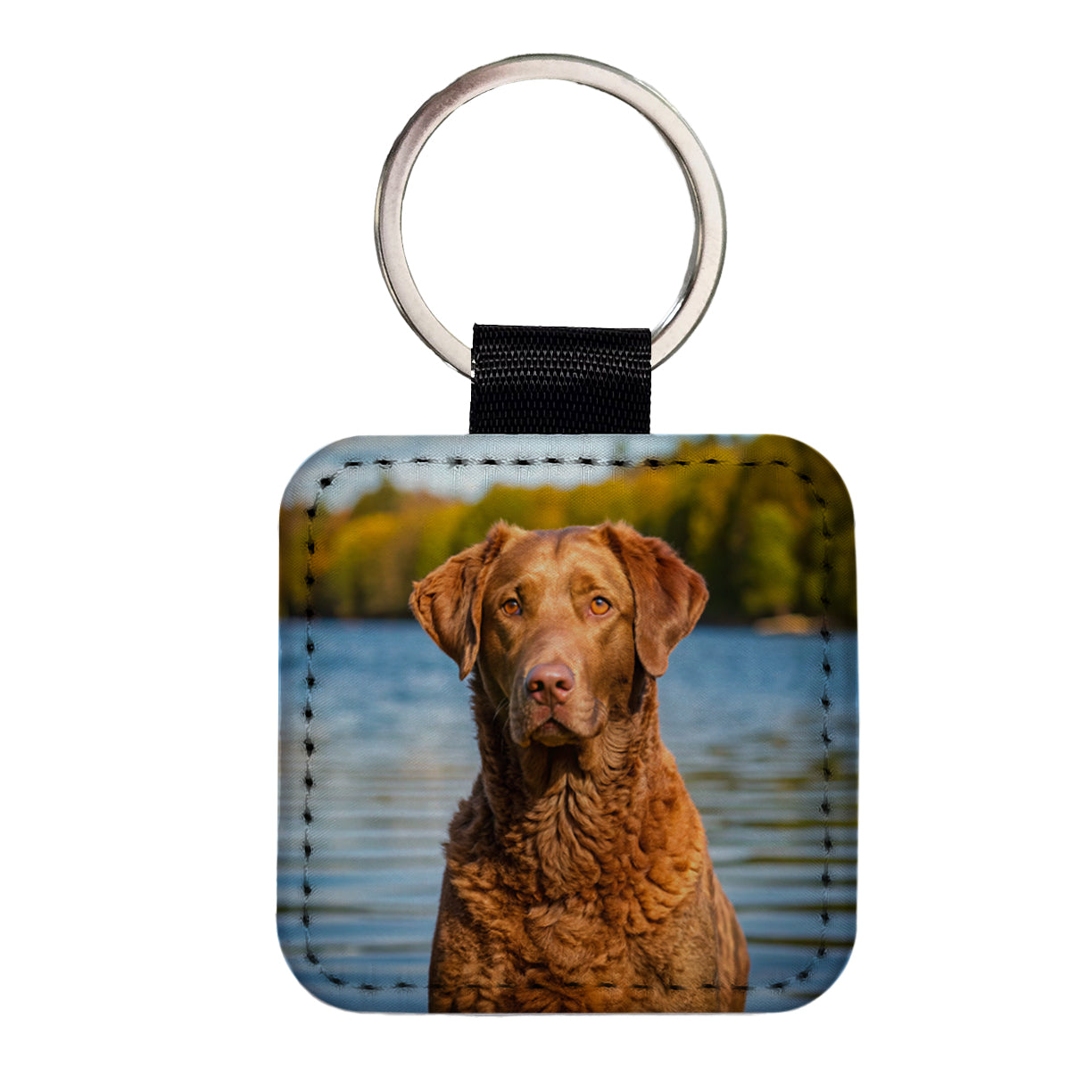 Chesapeake Bay Retriever Dog Photo Square Faux Leather Keychain