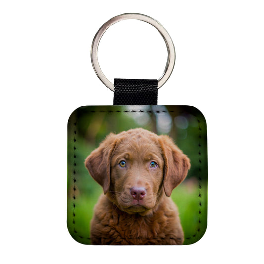 Chesapeake Bay Retriever Dog Puppy Photo Square Faux Leather Keychain