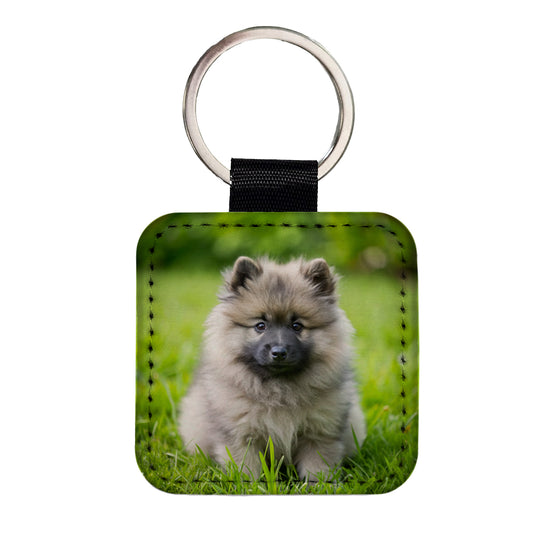 Keeshond Dog Puppy Photo Square Faux Leather Keychain