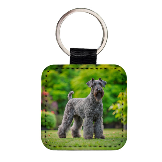 Kerry Blue Terrier Dog Photo Square Faux Leather Keychain