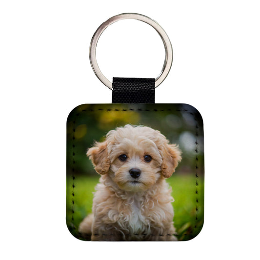 Maltipoo Dog Puppy Photo Square Faux Leather Keychain