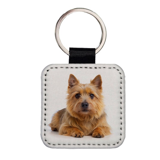 Norwich Terrier Dog Photo Square Faux Leather Keychain