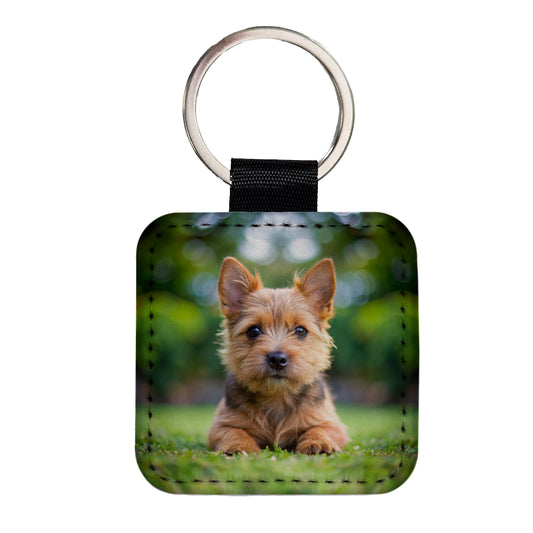 Norwich Terrier Dog Puppy Photo Square Faux Leather Keychain