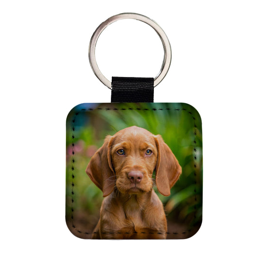 Wirehaired Vizsla Dog Puppy Photo Square Faux Leather Keychain