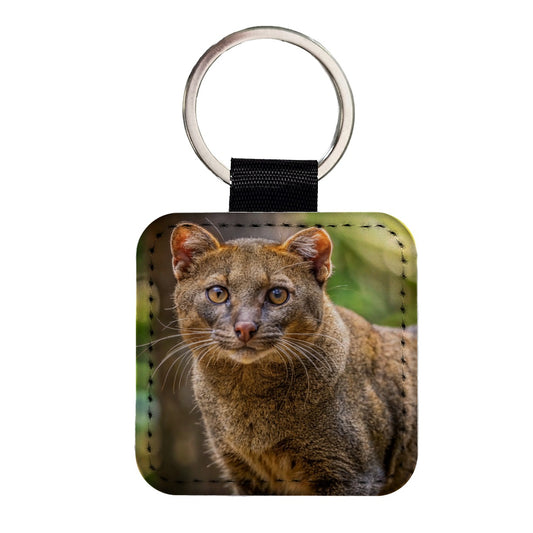 Jaguarundi Otter Cat Photo Square Faux Leather Keychain