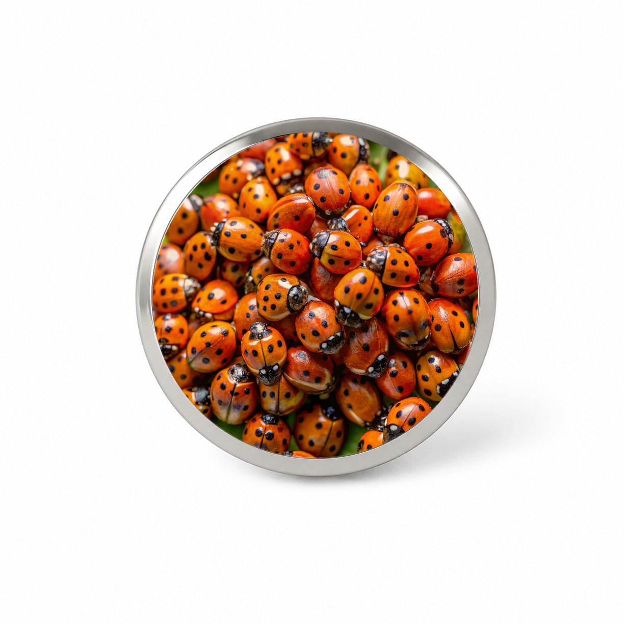 Close-Up Of Ladybugs Covering Leaf Novelty Hat Backpack Lapel Pin