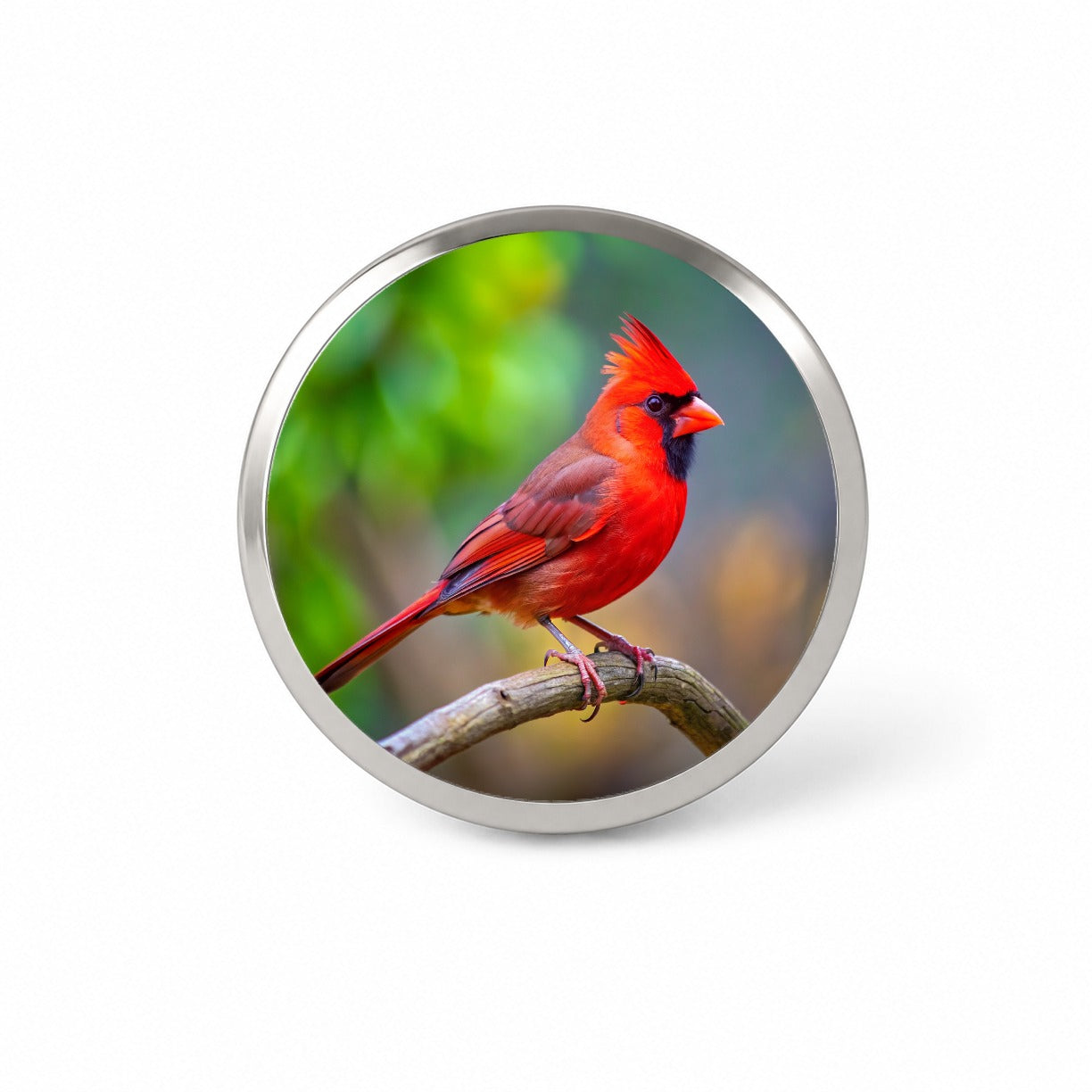 Cardinal Backyard Bird Novelty Hat Backpack Lapel Pin
