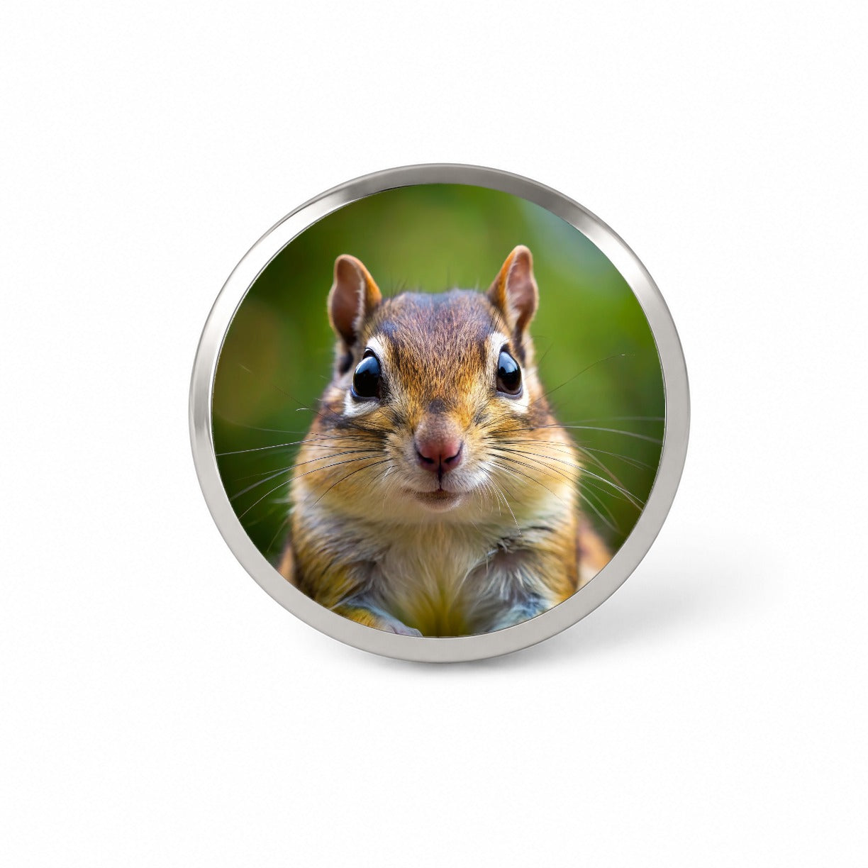 Chipmunk Face Novelty Hat Backpack Lapel Pin