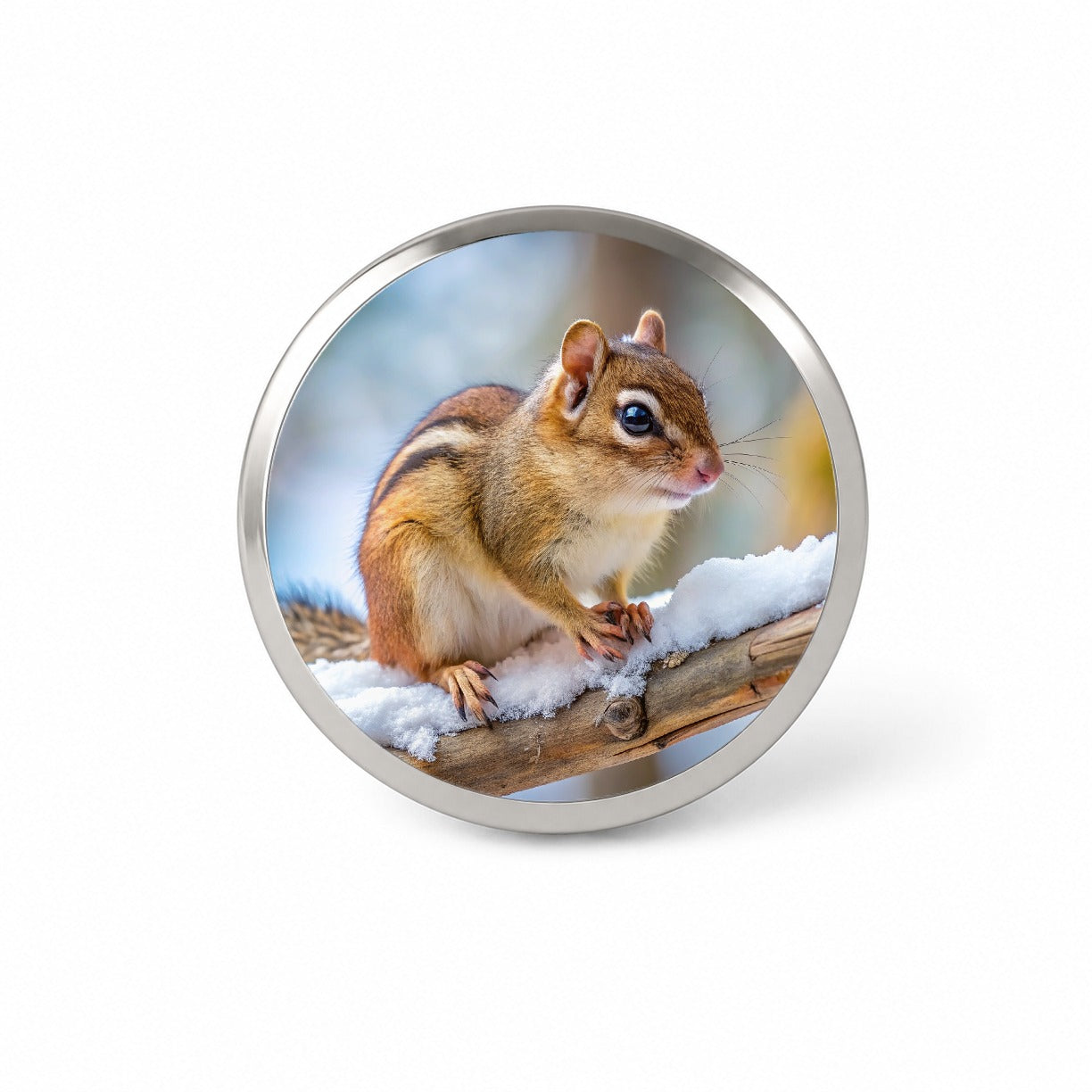 Chipmunk On Branch In Winter Novelty Hat Backpack Lapel Pin