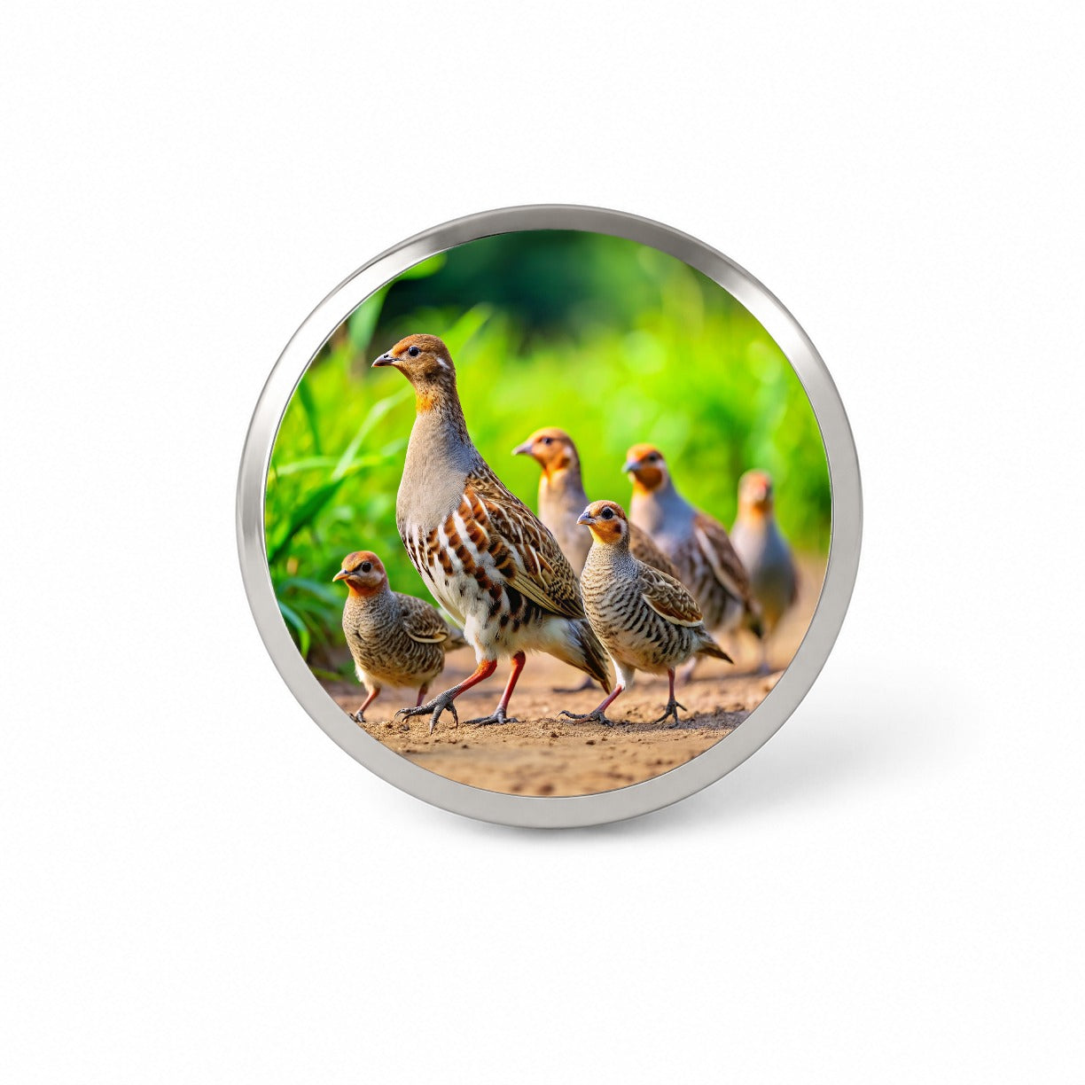 Family Of Partridge Birds Novelty Hat Backpack Lapel Pin