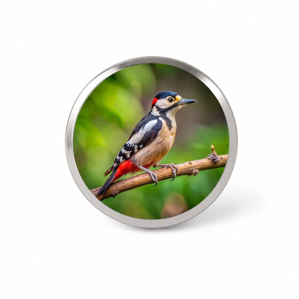 Great Spotted Woodpecker Backyard Bird Novelty Hat Backpack Lapel Pin