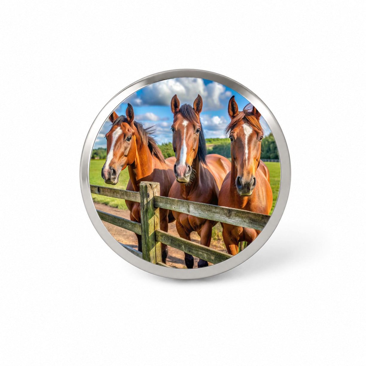 Horses Standing At The Fence Novelty Hat Backpack Lapel Pin
