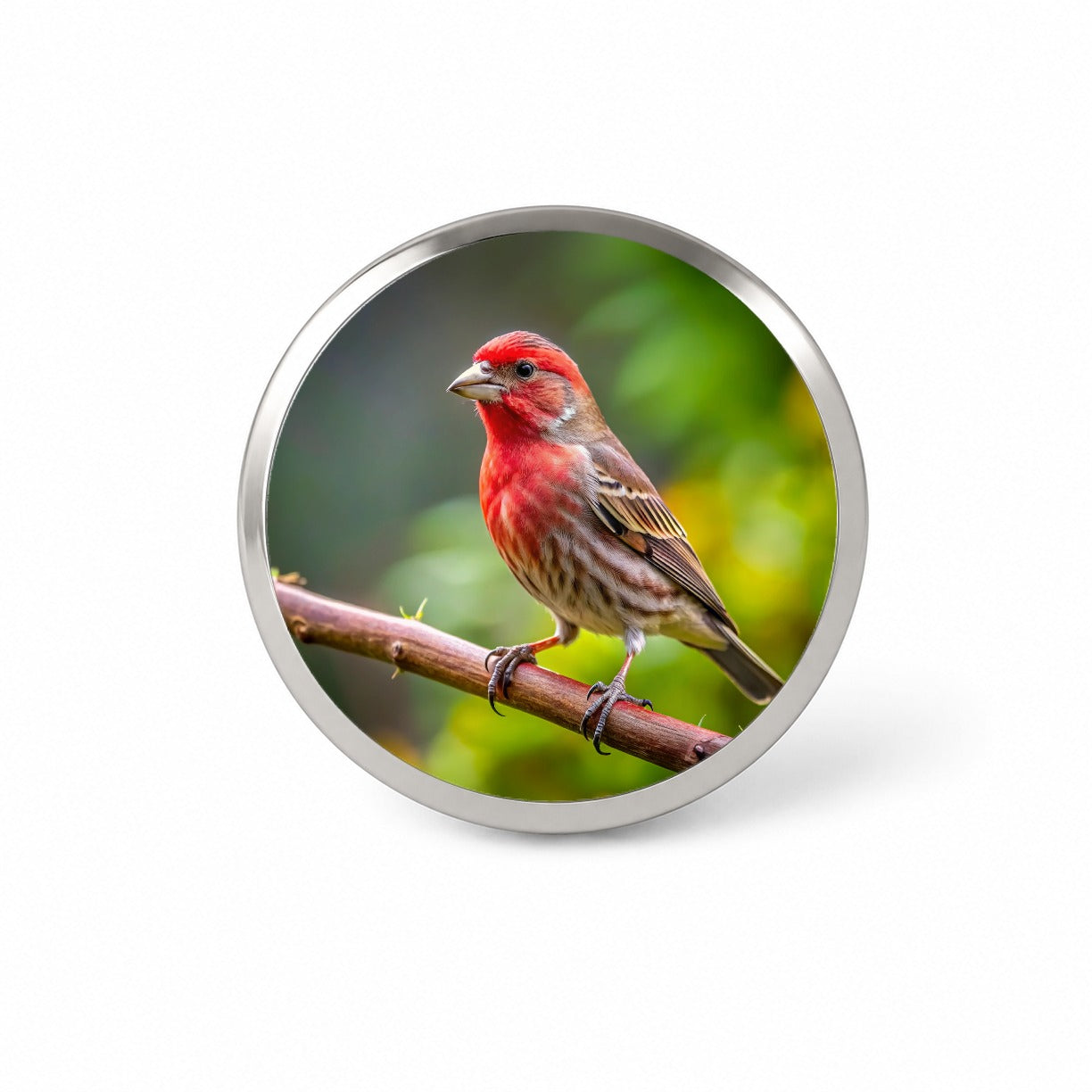 House Finch Backyard Bird Novelty Hat Backpack Lapel Pin