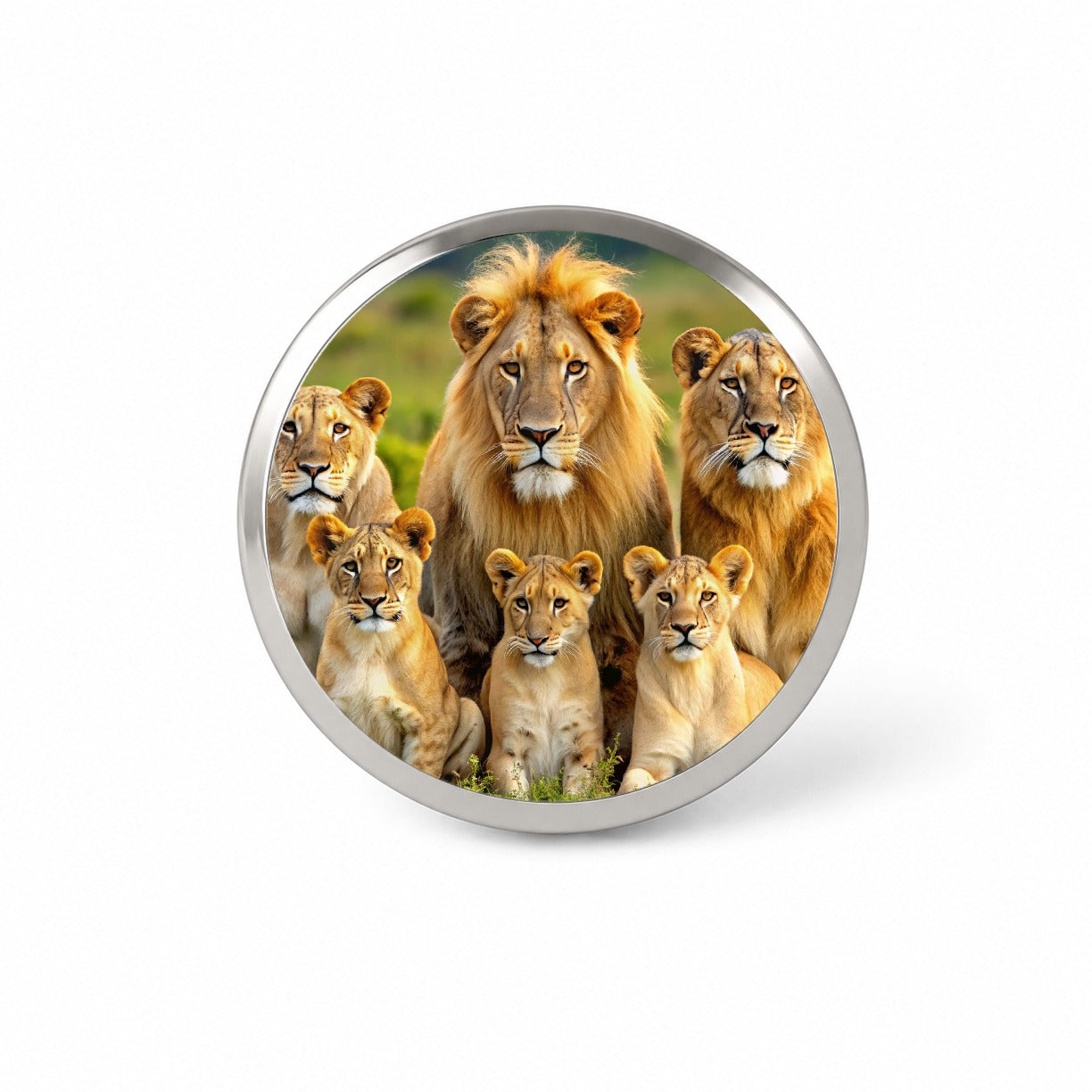 Lion Pride Family Novelty Hat Backpack Lapel Pin