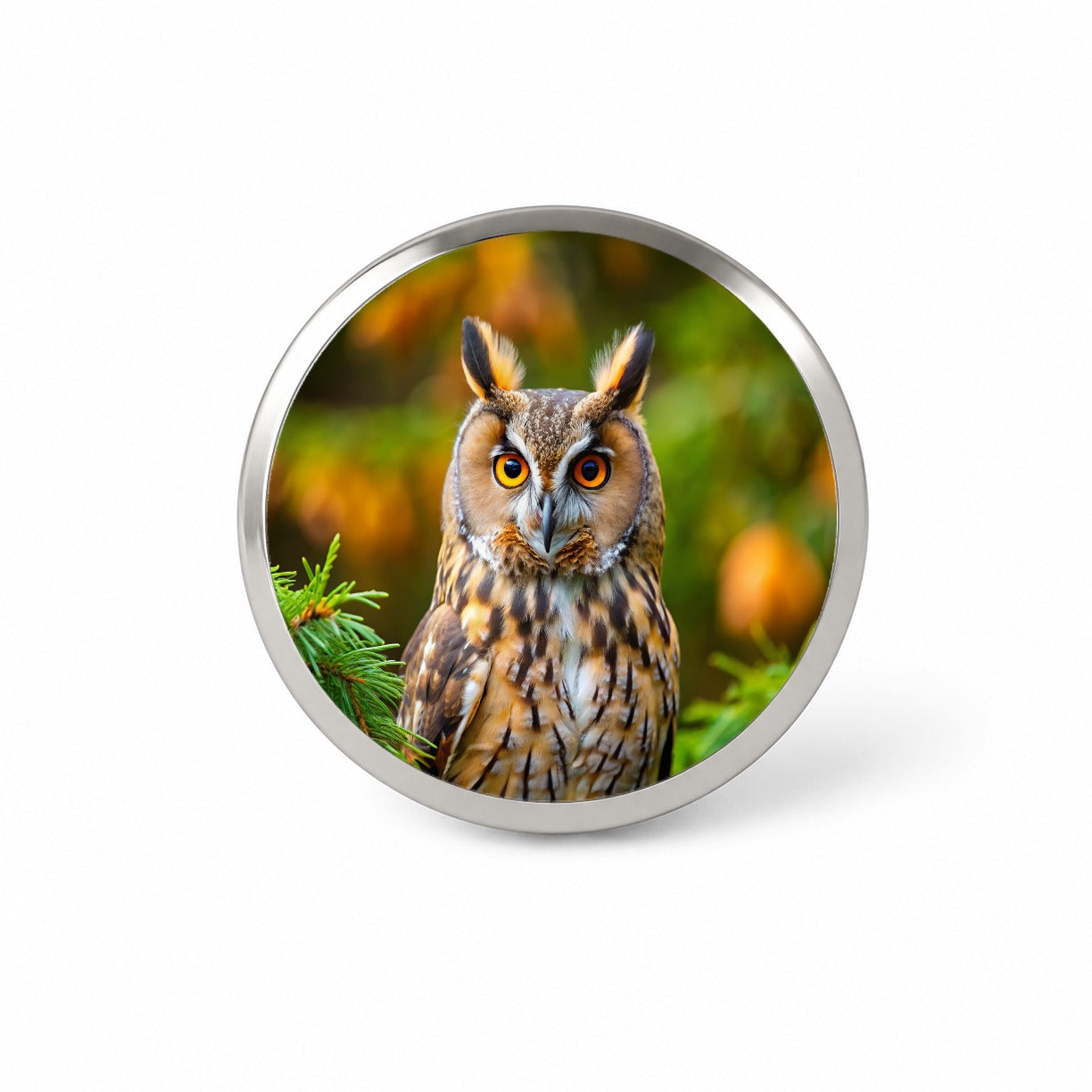 Long-Eared Owl Raptor Bird Of Prey Novelty Hat Backpack Lapel Pin