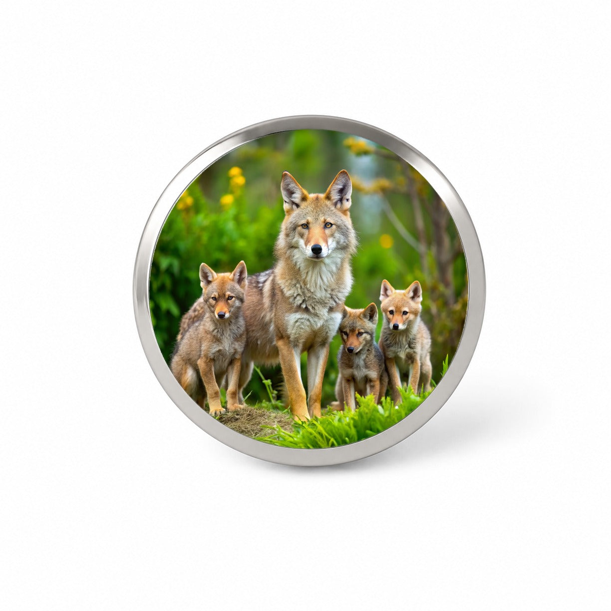 Mother Coyote And Pups Novelty Hat Backpack Lapel Pin