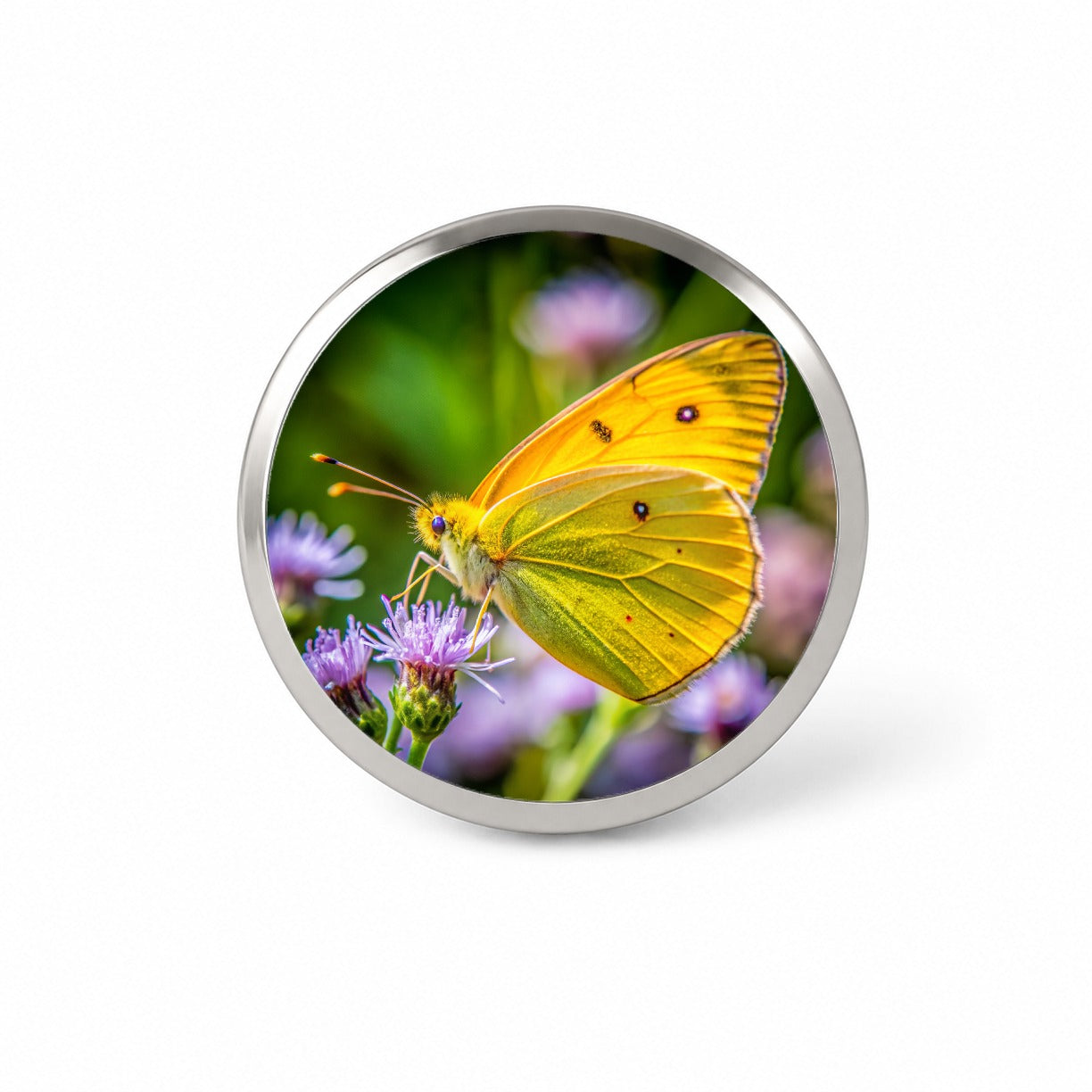 Orange Sulphur Butterfly Novelty Hat Backpack Lapel Pin