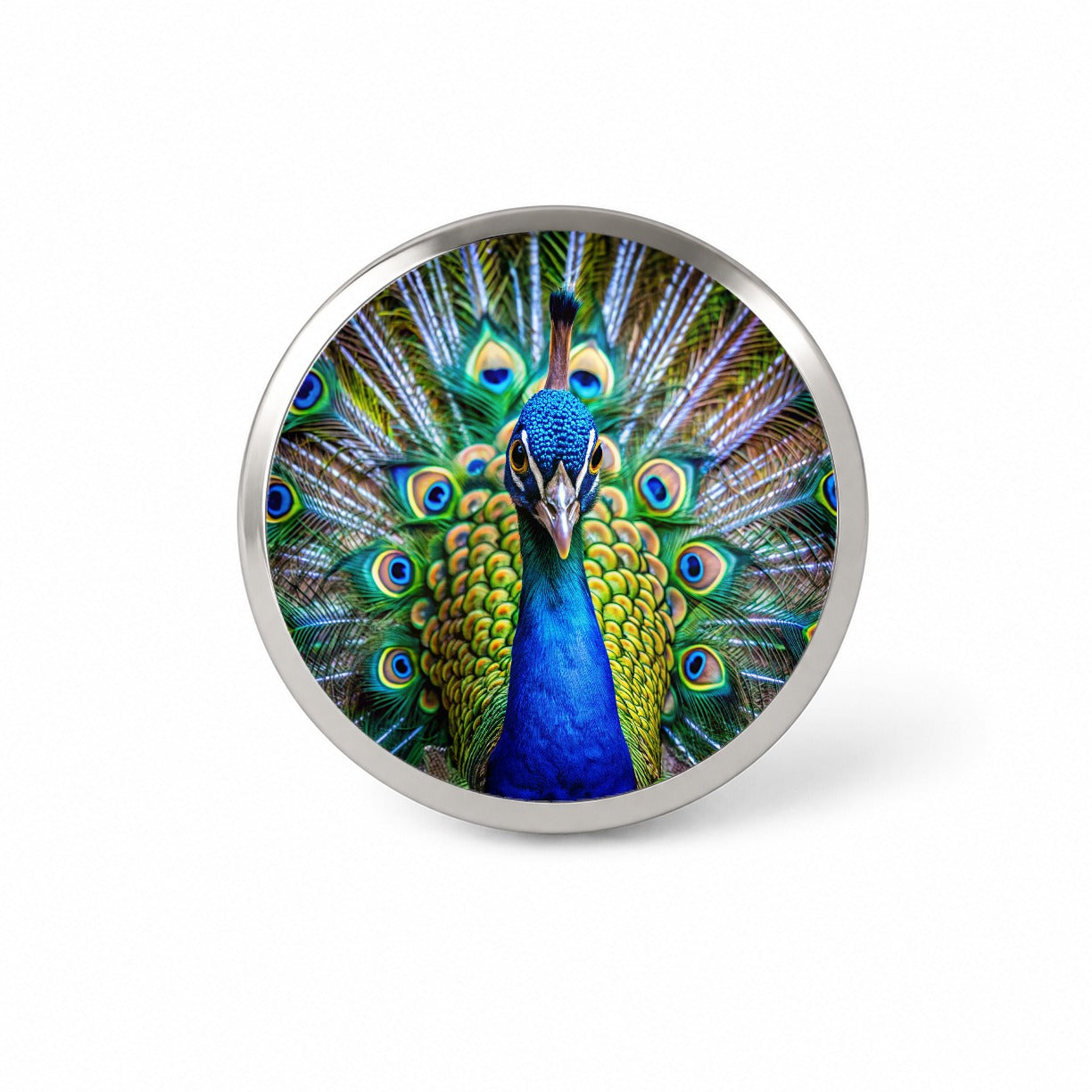 Peacock Novelty Hat Backpack Lapel Pin