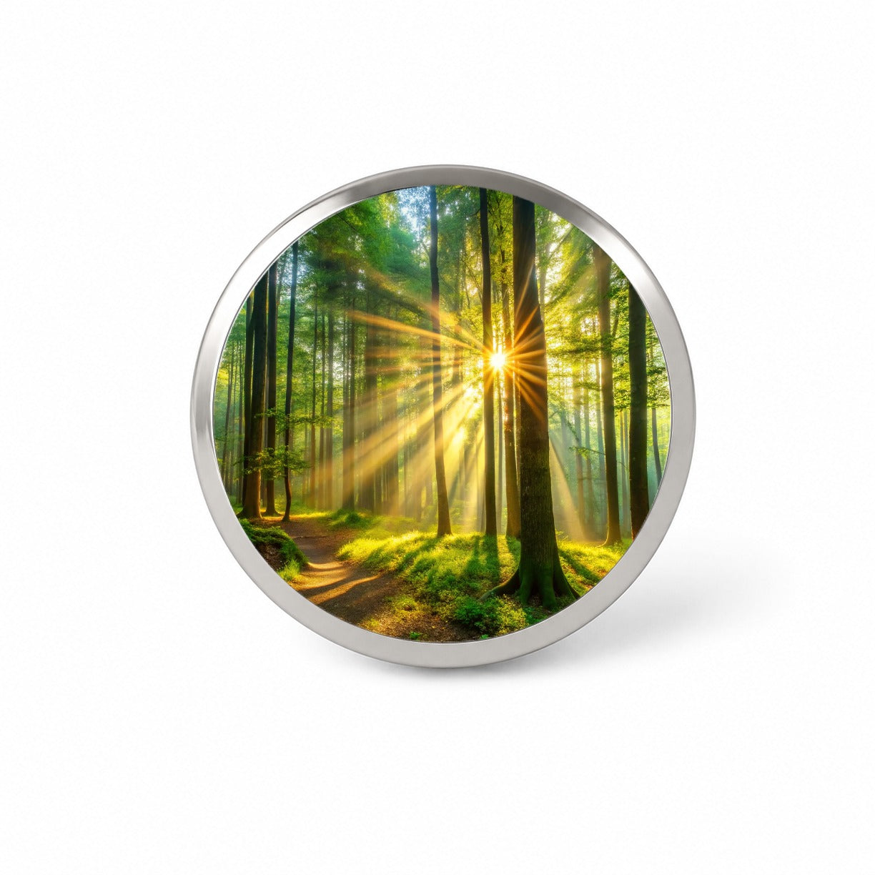 Sunlight Streaming Through Forest Trees Novelty Hat Backpack Lapel Pin