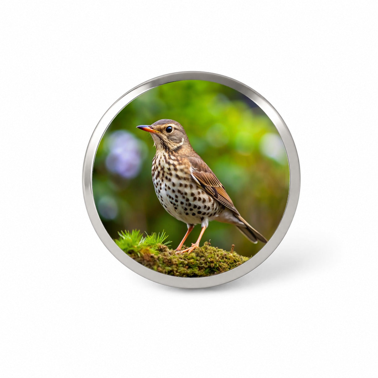 Thrush Bird Backyard Bird Novelty Hat Backpack Lapel Pin