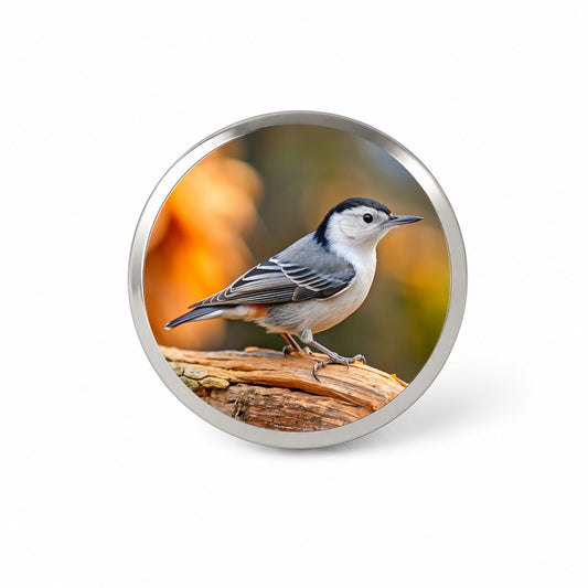 White Breasted Nuthatch Backyard Bird Novelty Hat Backpack Lapel Pin